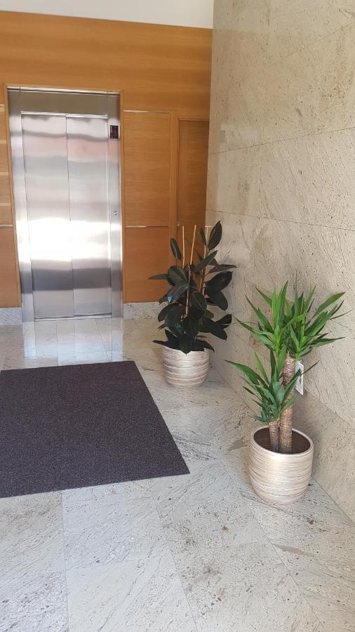 Pintor Apartment *