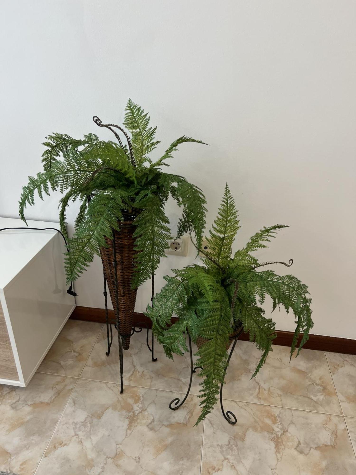 Apartment Pintor *